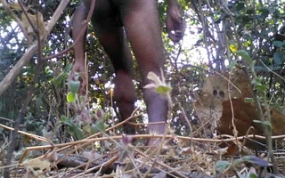 Tarzan Boy Sex In The Forest Wood